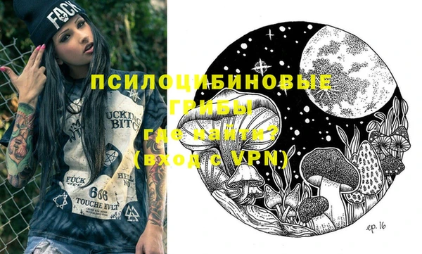 крисы Покачи