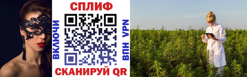 Бошки Шишки Amnesia  купить наркотики сайты  Бутурлиновка 